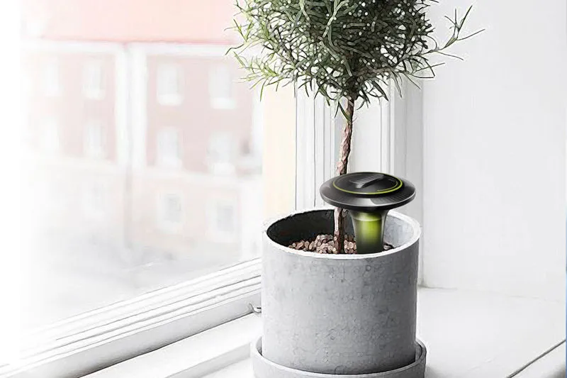 Automated Plant Care: Greenery Meets Technology